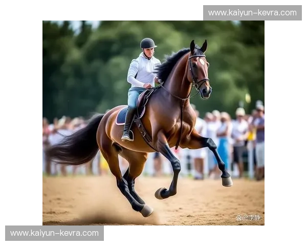 马术新闻:赛场风云与马背传奇的当下声音 马术新闻:赛场风云与马背传奇的当下声音
